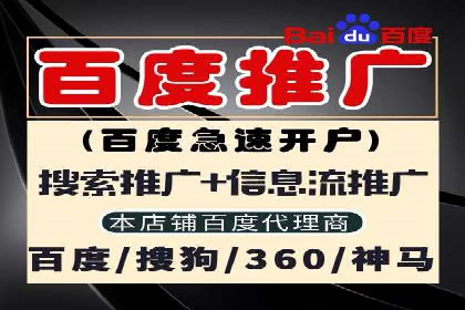 SEM竞价代运营公司案例深度解析
